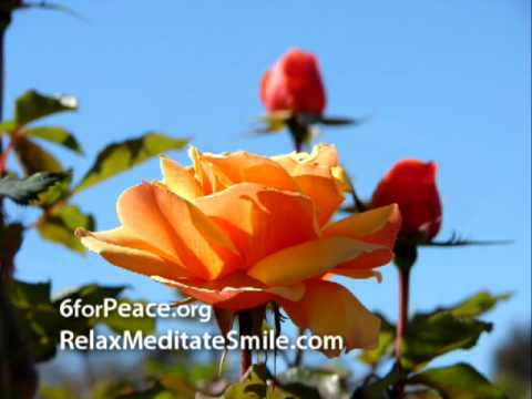 Breathing Peace Guided Meditation : Meditation Breathing  : Video