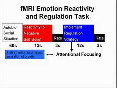 Cognitive Neuroscience of Mindfulness Meditation : Meditation  : Video