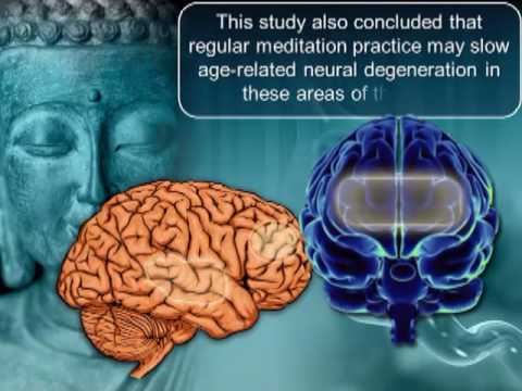 Meditation and the Brain 1/12: Activating the Brain’s Compassion Circuits : Meditation  : Video
