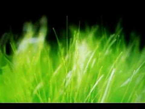 Peaceful Concentration Relaxation Meditation-Music-Part2 : Meditation Music  : Video
