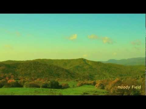 Relaxing Music – Meditation Music (Moody Field) : Meditation Music  : Video