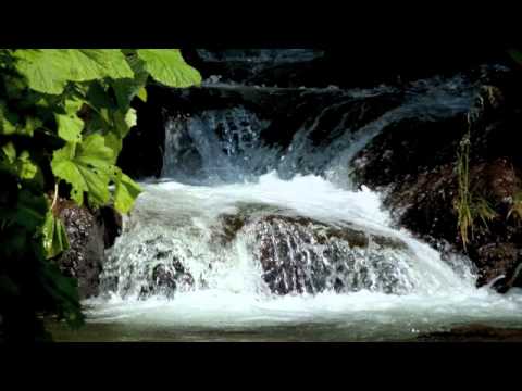 Relaxing Music, Meditation Music, Sleep Music (River Fall) : Meditation Music  : Video