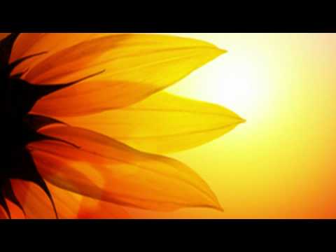 The Most Relaxing [Alpha Brainwave Music] on the net. : Meditation Music  : Video