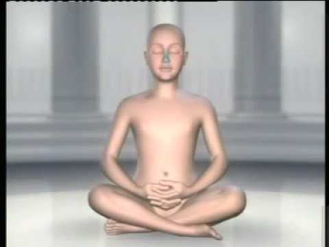 Video : Meditation Techniques in Hindi 2.2