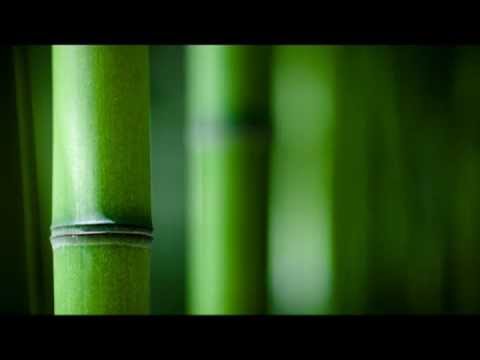 Video : Relaxation Music Nature Sounds: Flute Music Shakuhachi, New Age for Relaxation Meditation