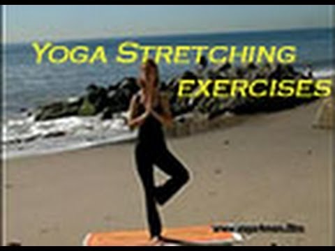 Video : YOGA Stretching Exercises